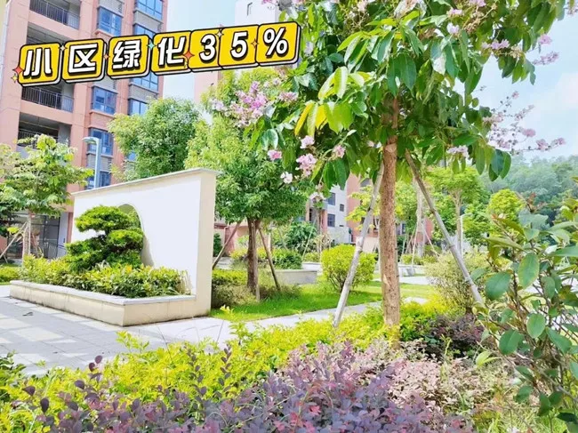 观澜村委统建楼<御湖天城>，8栋花园小区房，双层地下停车场，地铁站600米